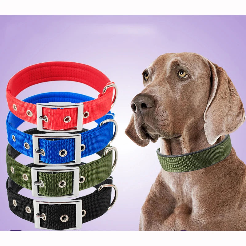 Large Dog Nylon Collar