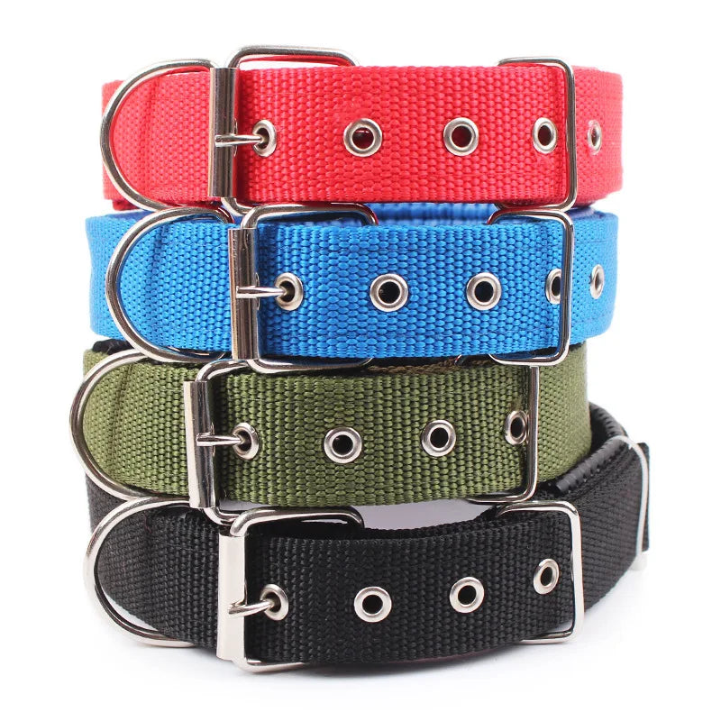 Large Dog Nylon Collar