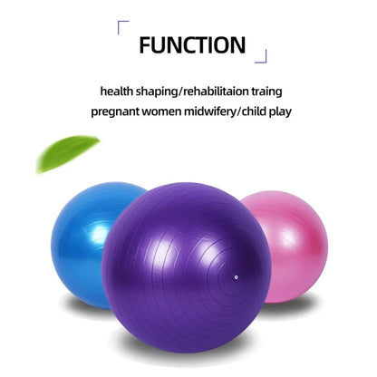 Equipment Balan Fitness Yoga Balance Ball