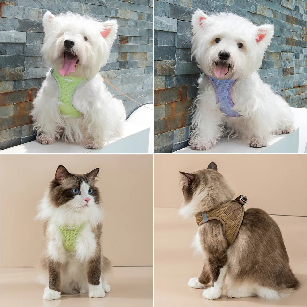 Puppy Cat Breathable Harness Leash