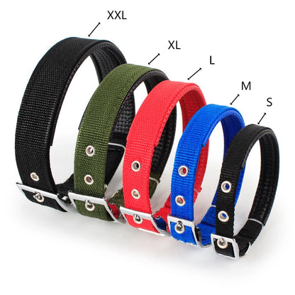 Large Dog Nylon Collar