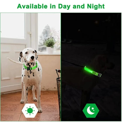 Dog LED Glowing Collar