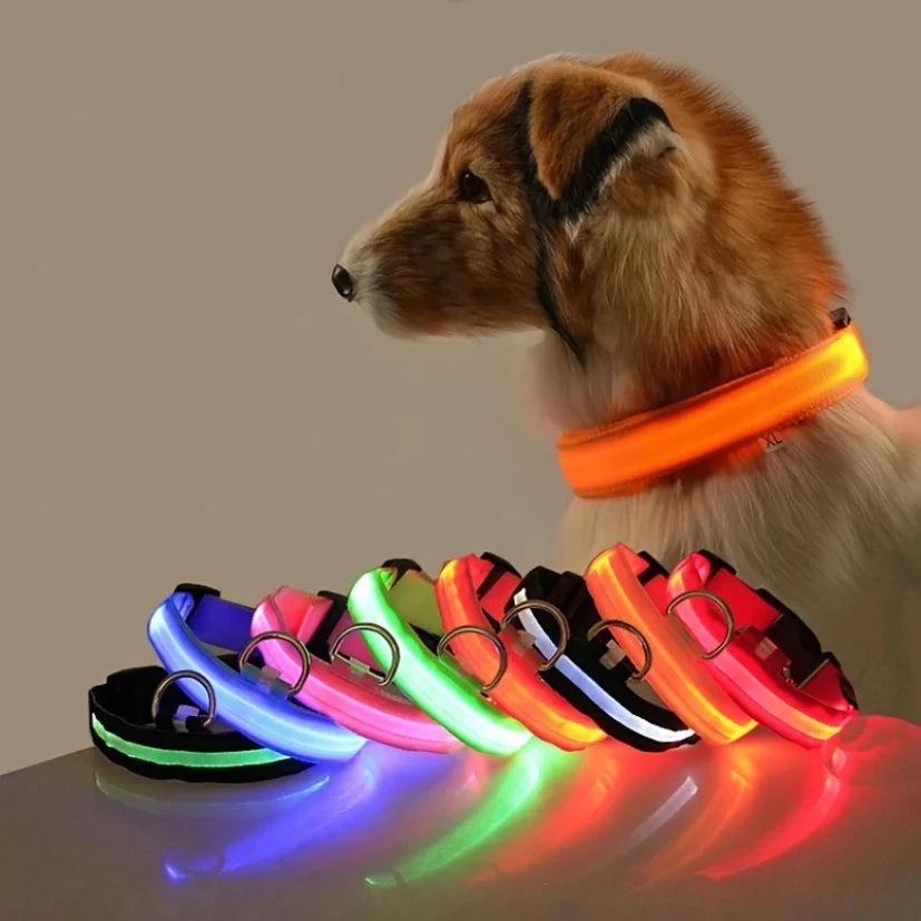 Dog LED Night Safety Flashing Collar