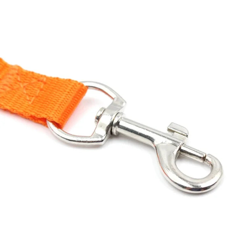 Puppy Dog Leash Nylon Strap