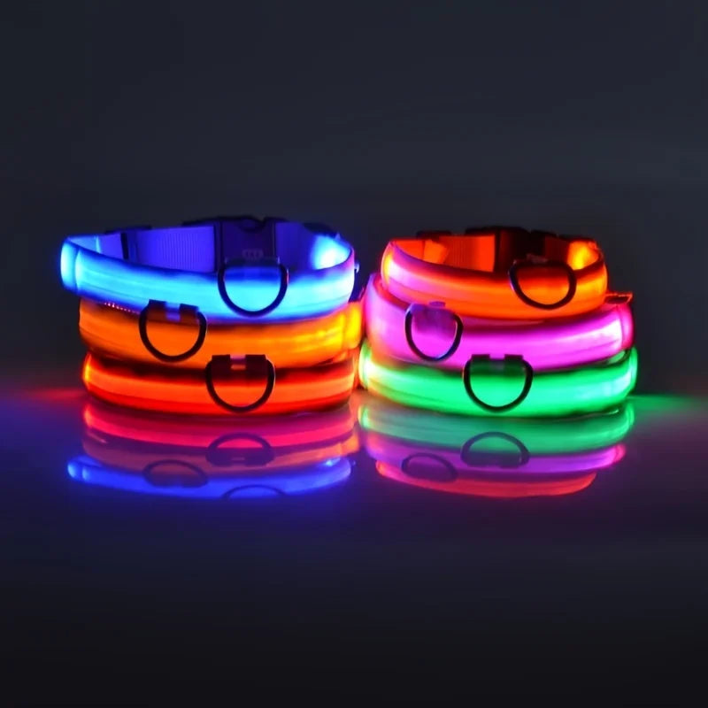 Dog LED Night Safety Flashing Collar