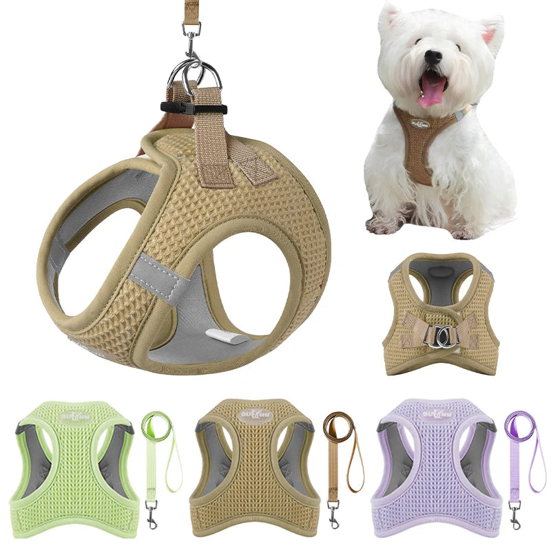 Puppy Cat Breathable Harness Leash