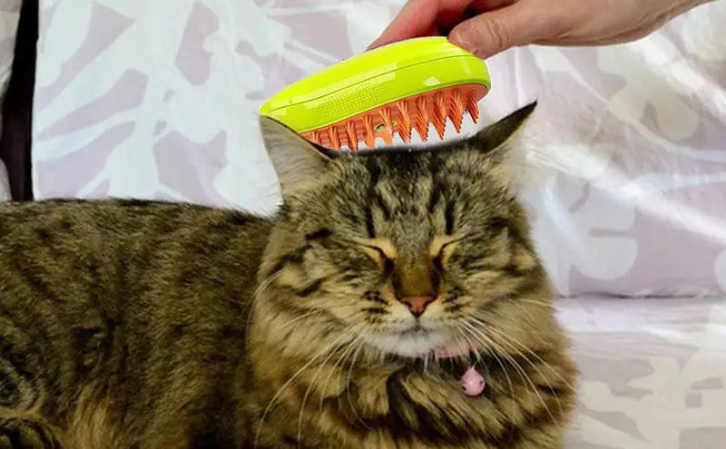 Cat Electric Hair Steam Brush