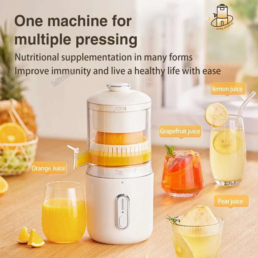 Mini Fruit Portable Blender USB Juicer