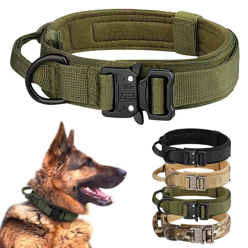 Pet  Outdoor Training Neck Collar