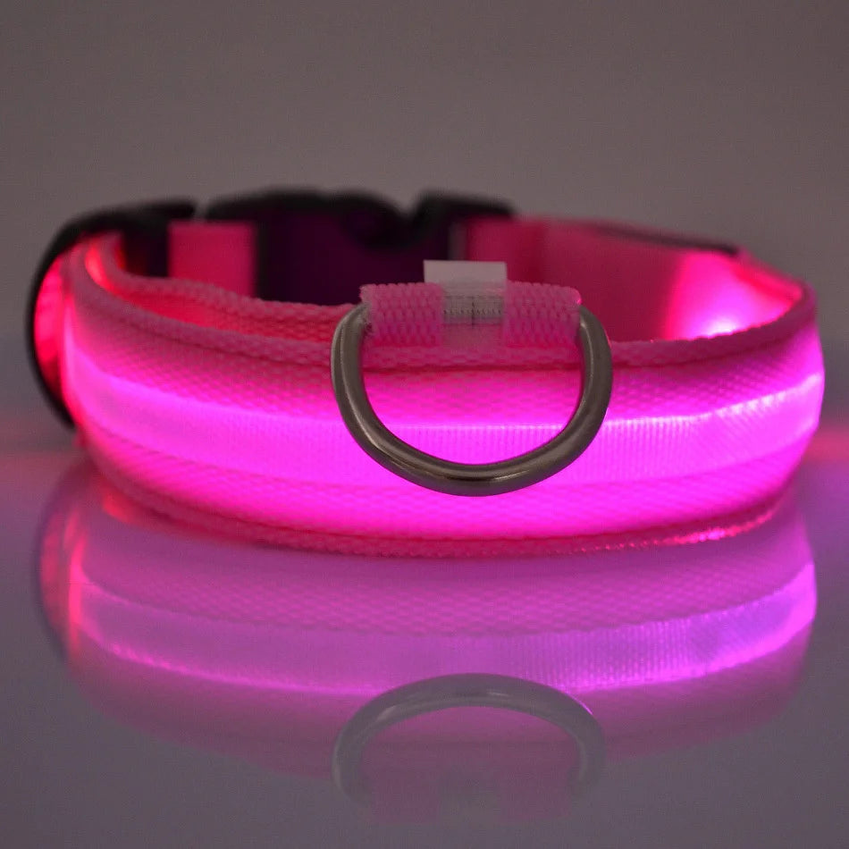 Dog LED Night Safety Flashing Collar