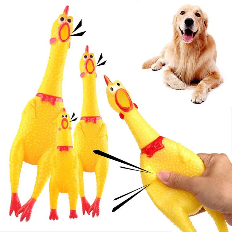 Dog Chicken Squeak Sound Toy