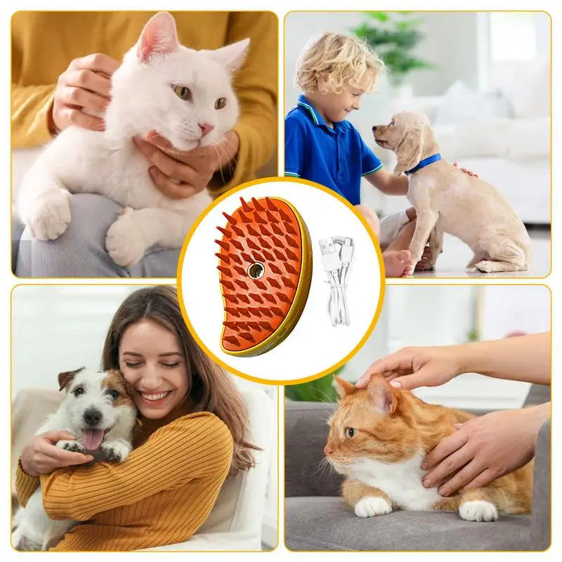 Pet USB Rechargeable Brush Spray