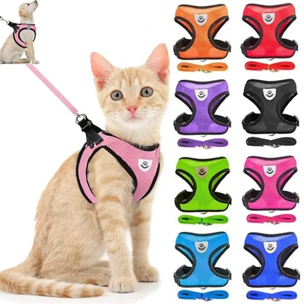 Dog Adjustable  Walking Vest Harness