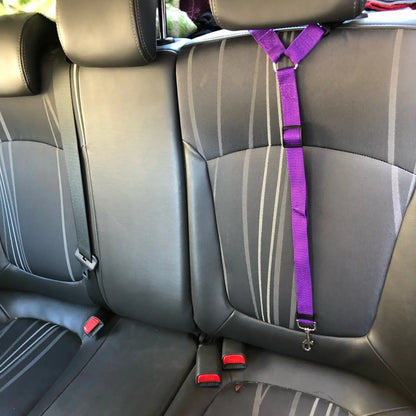 Pet Two-in-one Car Seat Belt