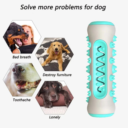 Dog Toothbrush Stick Toy