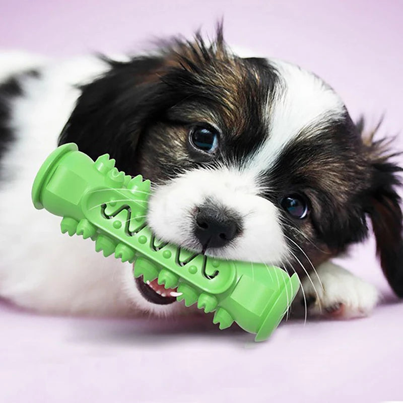 Dog Toothbrush Stick Toy