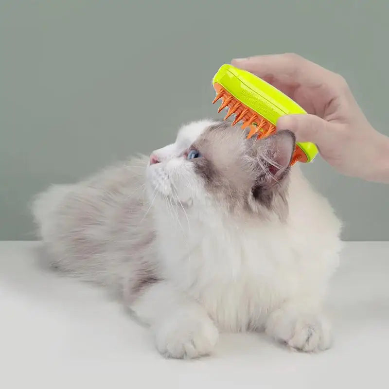 Cat Electric Hair Steam Brush