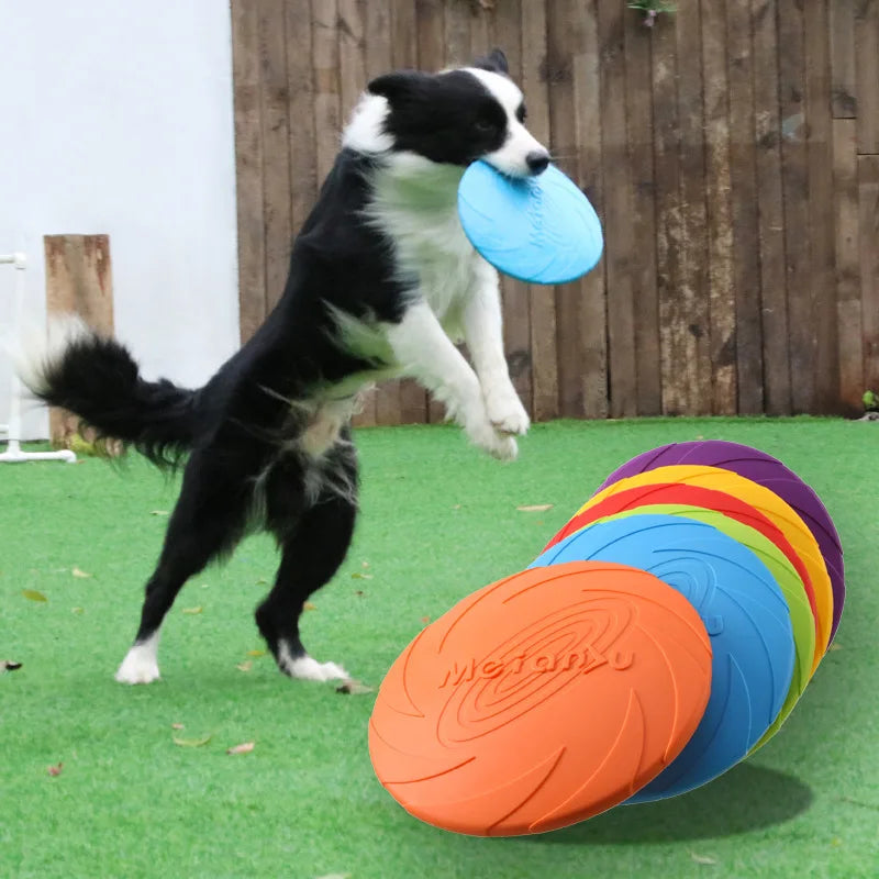 Dog Outdoor Resistant Flying Disc Toy