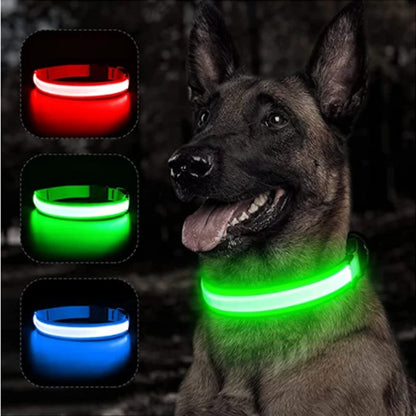 Dog LED Glowing Collar